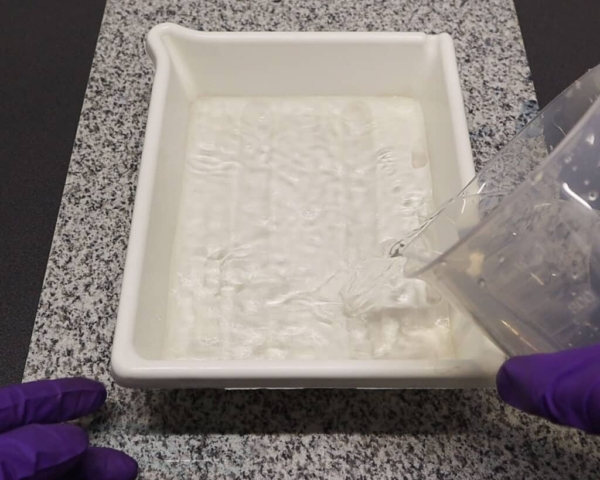 Salt-print-tutorial-43