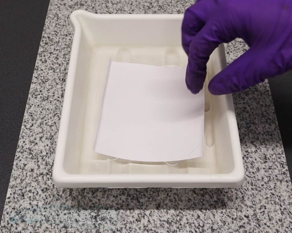 Salt-print-tutorial-46