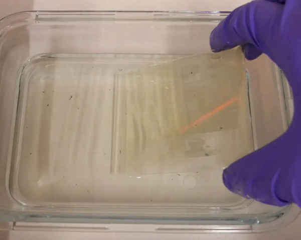 Reverse-developing-dry-plates-25-1024×819-1