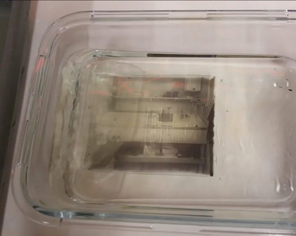 Reverse-developing-dry-plates-27-1024×819-1