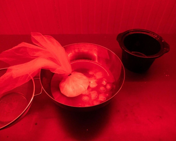 How-to-make-silver-gelatine-emulsion-8