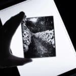 Custom Sized Zebra Dry Plates - Image 6