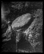 Zebra Standard 8x10 Dry Plates - Image 8