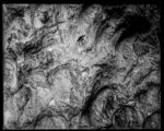 Zebra Standard 8x10 Dry Plates - Image 6