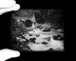 Custom Sized Zebra Dry Plates - Image 3