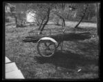 Custom Sized Zebra Dry Plates - Image 8
