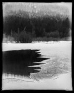 Custom Sized Zebra Dry Plates - Image 7
