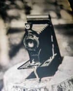Zebra 4x5 Dry Plate Tintypes - Image 6