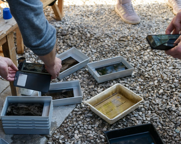 World-Wet-Plate-Day-2024-6