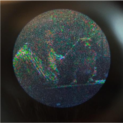 Autochrome-plate-magnified