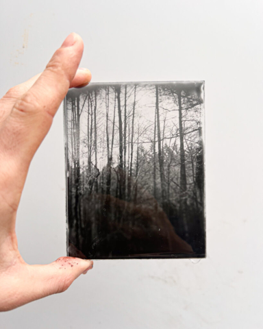 Patricia-Dry-Plate-Workshop-005