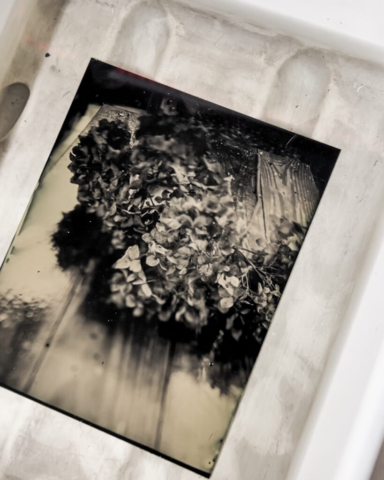 The Art of Contact Printing on Zebra Dry Plate Tintypes-17