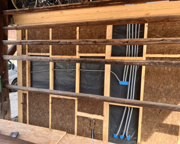 Zebra-Dream-Dakroom-Update-14
