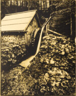 Zebra 8x10 Golden Dry Plate Tintypes - Image 3