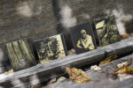Zebra 4x5 Golden Tintype Plates (Pack of 10) - Image 2