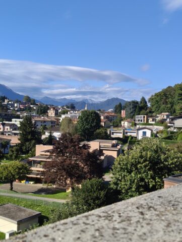 from roof real