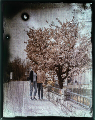 Zebra-Complete-Contemproraty-Autochrome-Plate-Jakob-April-2026-Direct-Positive