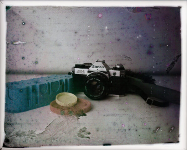 Zebra-First-Complete-Contemproraty-Autochrome-Plate-April-2026-Inverted-Positive