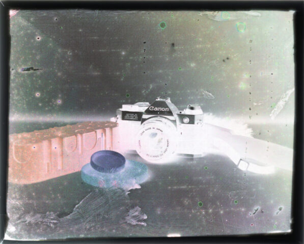 Zebra-First-Complete-Contemproraty-Autochrome-Plate-April-2026-Negative
